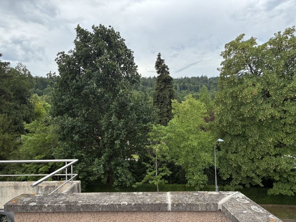 Traumhafte Attikawohnung mit grosser Terrasse und schönem Ausblick 7