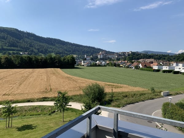 Wunderschöne 3.5 Zimmer in Aarburg 6