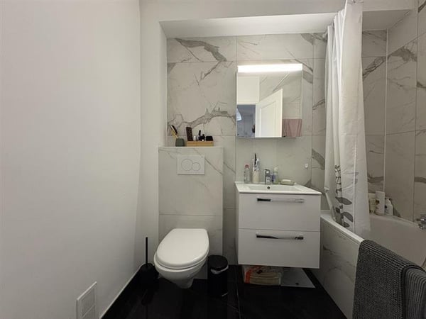 Bel appartement 2p. proche de toutes les commodités 4