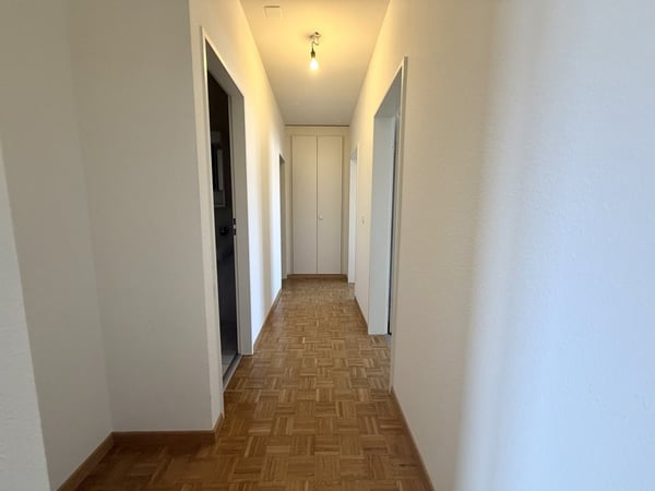 Bel appartement avec terrasse et balcon au coeur du Petit-Lancy 4