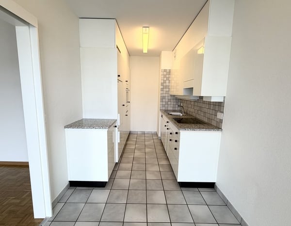 Bel appartement avec terrasse et balcon au coeur du Petit-Lancy 3