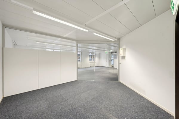 Repräsentative Gewerbefläche - nur wenige Schritte von der Messe Basel 4