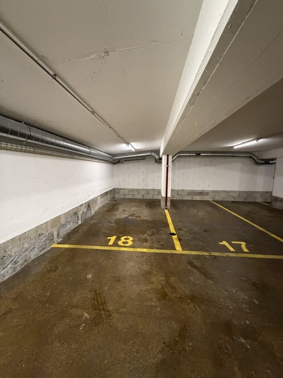 Place de parking au centre-ville de Genève 5
