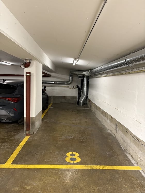 Place de parking au centre-ville de Genève 3