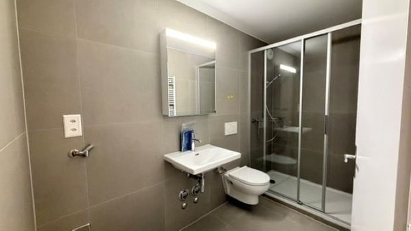 Logement rénové près du Lac ! 3