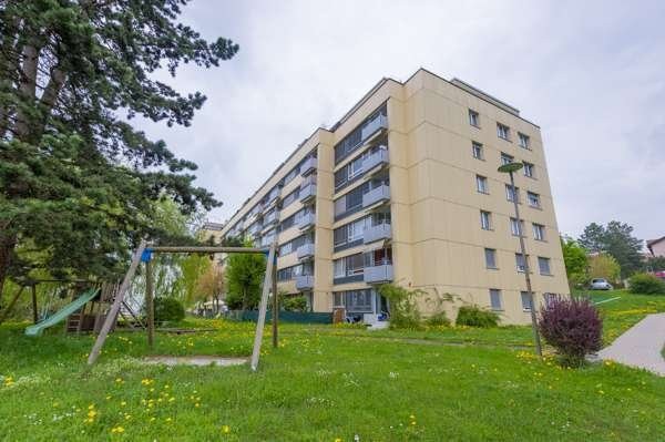 Bel appartement à louer sur les hauts de Fribourg! 1