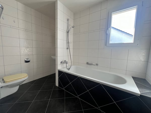 Bel appartement à deux pas du lac 5