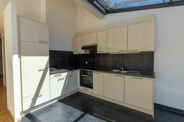 Appartement avec mezzanine 4
