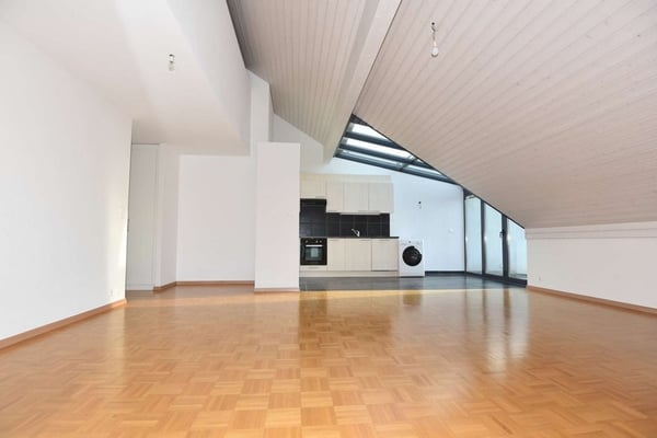 Appartement en duplex avec mezzanine 4