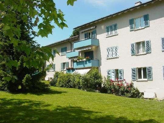 Befristet im Grünen in Zürich-Altstetten 8