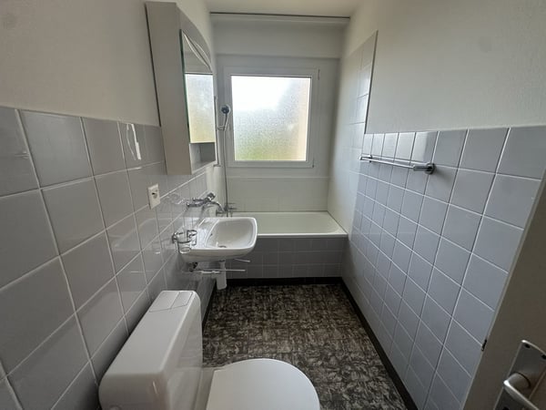 Studio à louer à Fribourg ! 3