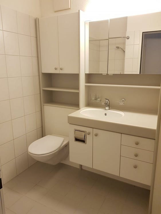 Ruhige 2.5 Zimmer-Wohnung in Stallikon 5