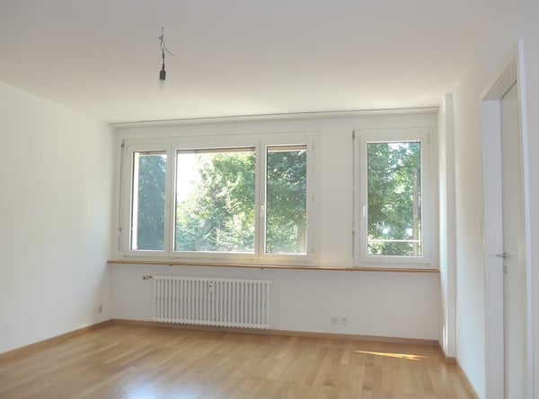 Direkt am Schützenmattpark mit wunderschöner Aussicht 3