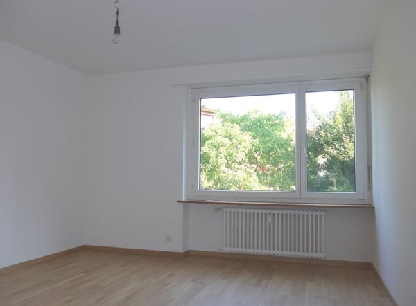 Direkt am Schützenmattpark mit wunderschöner Aussicht 5