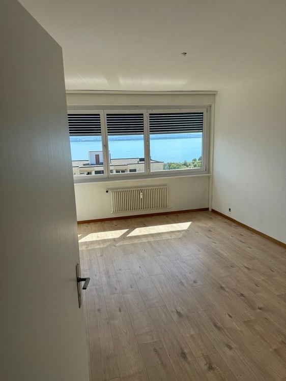 Joli logement spacieux de 1.5 pièces avec une belle vue sur le lac 2