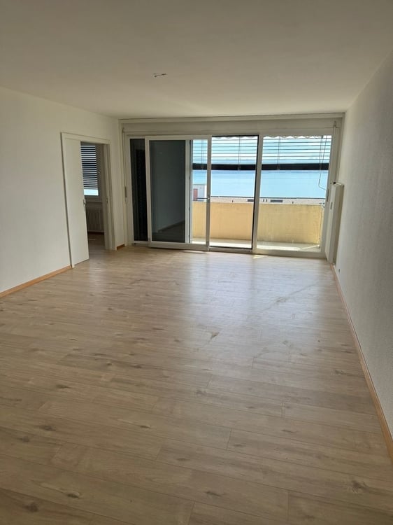 Joli logement spacieux de 1.5 pièces avec une belle vue sur le lac 6