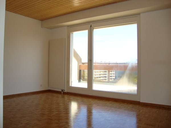 Appartement en attique dans le quartier des Eaux-Vives 9