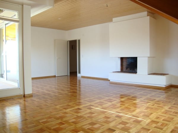 Appartement en attique dans le quartier des Eaux-Vives 2