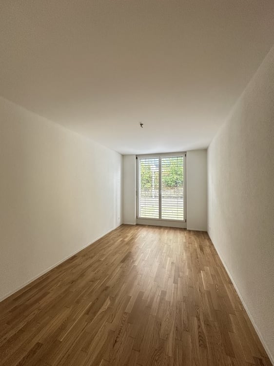 Suchen Sie ein neues Zuhause? 3
