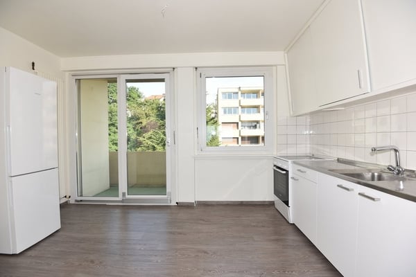 Logement lumineux avec une jolie vue sur le lac 3