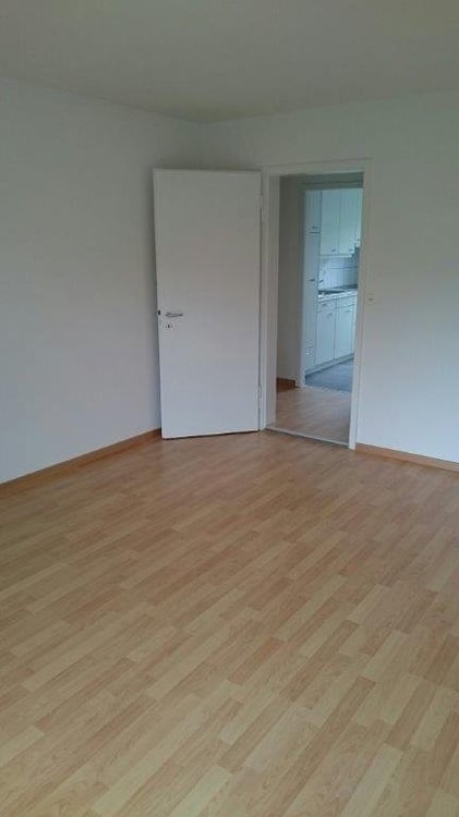Befristet im Grünen in Zürich-Altstetten 5