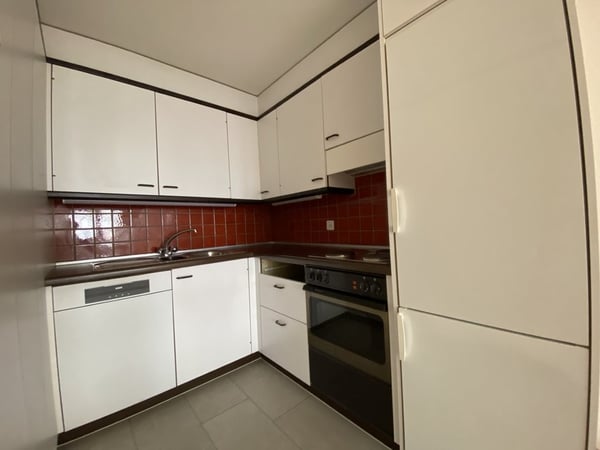 Grosszügige Wohnung mit Terrasse 4