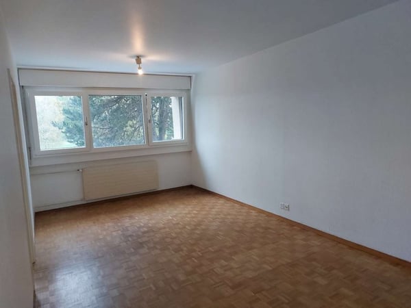 Appartement de 2 pièces en campagne - Thônex 2
