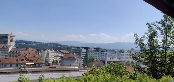 Appartement 5.5 pièces au rez-de-chaussée à louer à Fribourg ! 8