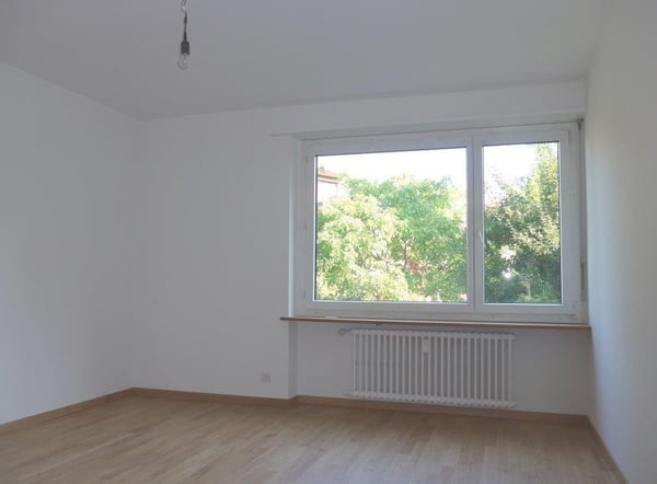 Direkt am Schützenmattpark mit wunderschöner Aussicht 5
