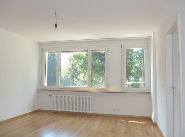 Direkt am Schützenmattpark mit wunderschöner Aussicht 3