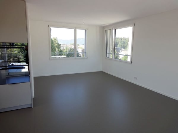 Maisonettewohnung im Attikageschoss direkt beim Balgrist 4