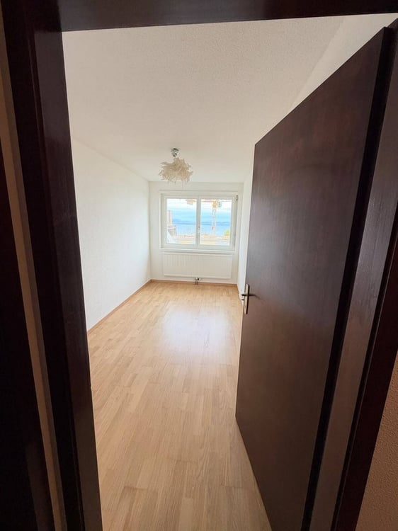 Duplex de 3.5 pièces avec magnifique vue 9