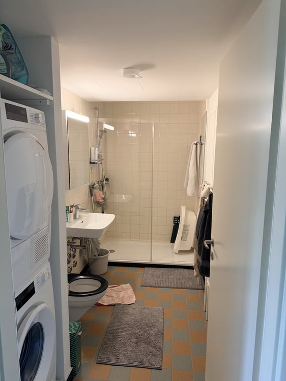 2 ½ Zimmer-Wohnung, 6003 Luzern 8