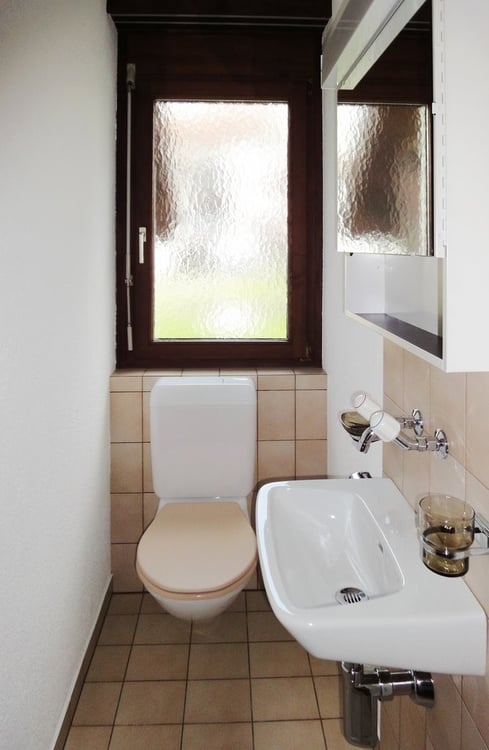 Wohnung mit Sitzplatz sucht Single! 8