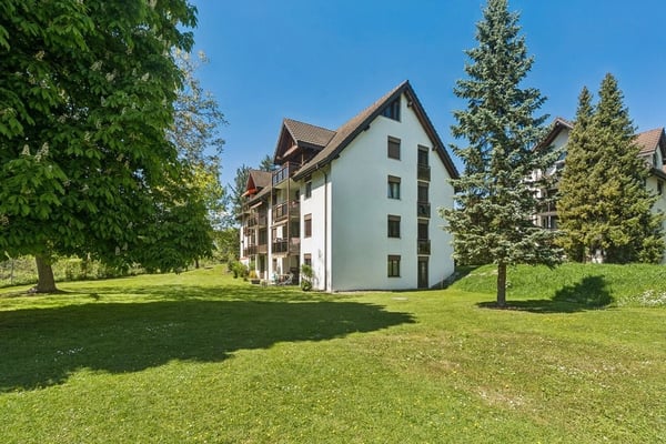 Wohnung mit Sitzplatz sucht Single! 2
