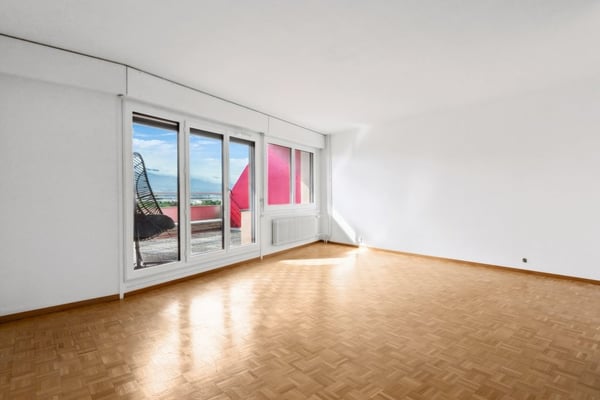 Appartement familial traversant duplex au coeur d'Onex 1