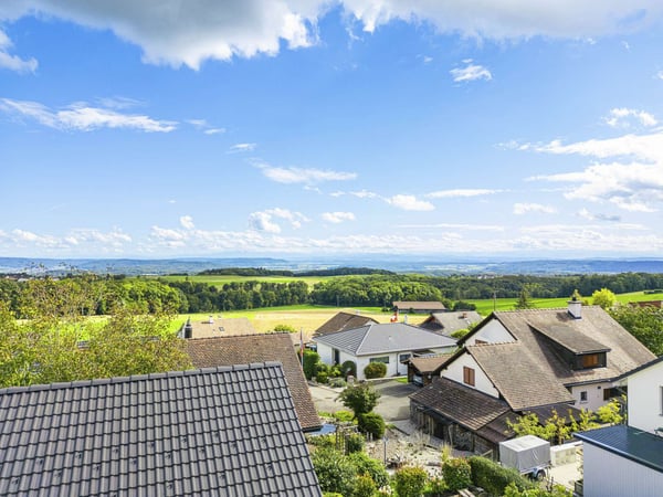 Grosses Doppeleinfamilienhaus mit Garten - perfekt gelegen im Herzen von Büttenhardt 12