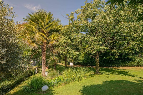 Freistehendes Einfamilienhaus mit atemberaubendem Garten 12