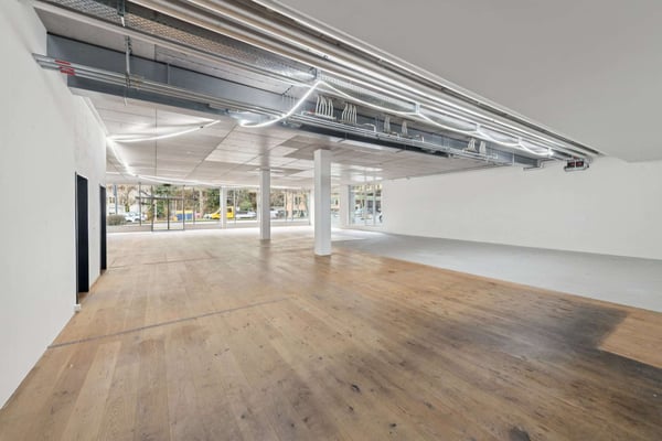 Repräsentative Gewerbefläche an frequentierter Lage 5