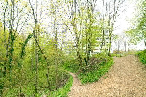 Lichtdurchflutete 1.5-Zimmer-Wohnung im beliebten Breitequartier 11