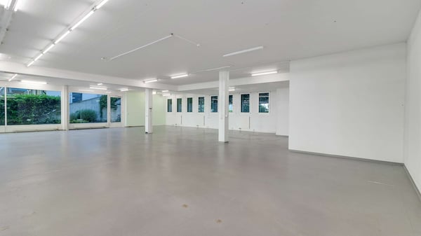 Helle Gewerbefläche unweit des Bahnhof Schaffhausen 2