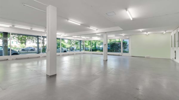 Helle Gewerbefläche unweit des Bahnhof Schaffhausen 8