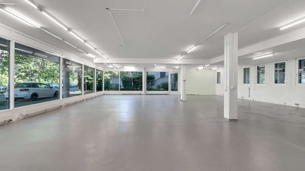 Helle Gewerbefläche unweit des Bahnhof Schaffhausen 1