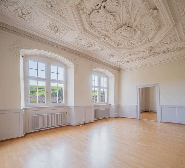 Historische 1.5-Zimmer-Wohnung in Trüllikon 1