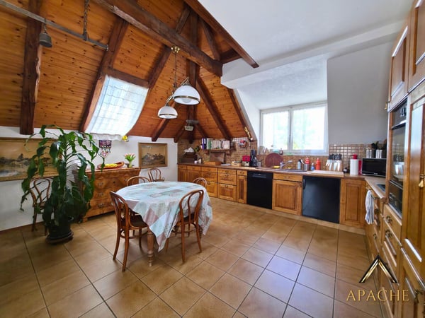 Charmant immeuble familial de 3 appartements 6