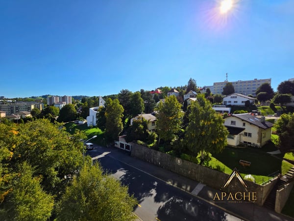 Lumineux 1.5 pièces avec loggia au dernier étage 12