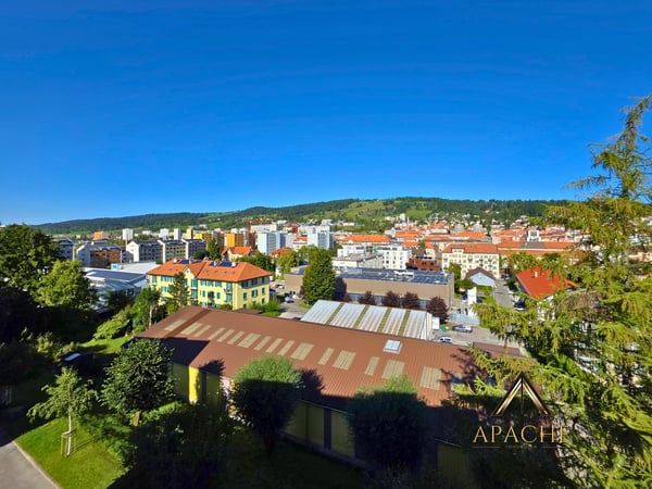 Lumineux 1.5 pièces avec loggia au dernier étage 6