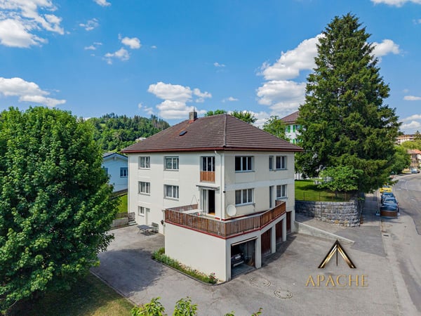 Généreuse maison familiale, 2 appartements pouvant être réunis et 5 garages 1