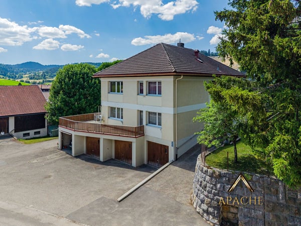 Généreuse maison familiale, 2 appartements pouvant être réunis et 5 garages 3