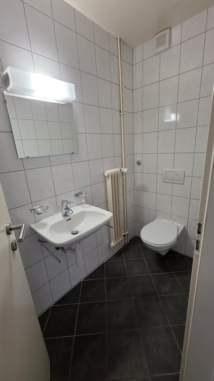 Appartement 4.5 pièces avec balcon 4
